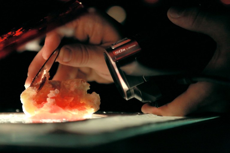 grandesurface5©clairerenaud