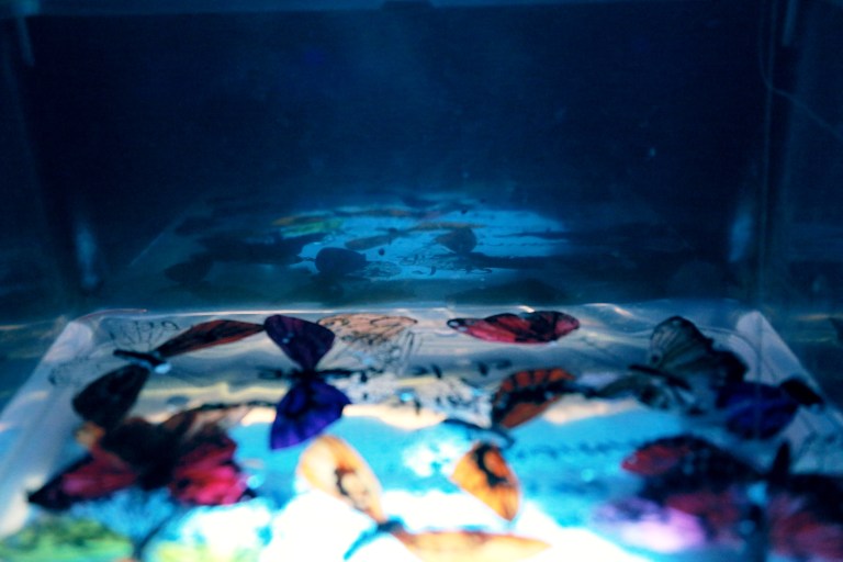 grandesurface8©clairerenaud